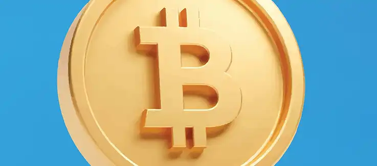 a bitcoin